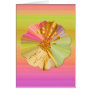 Belly Dance Cards
