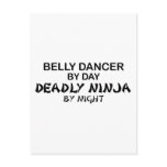 Belly Dancer Deadly Ninja by Night postcards