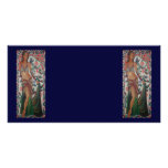 Belly Dancer photo cards