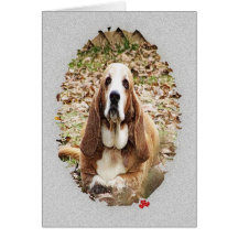 Beloved Basset Greeting Card