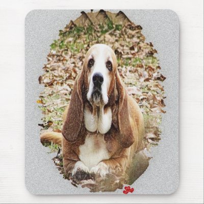 Beloved Basset by DanceswithCats