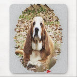 Beloved Basset mousepads