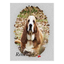 Beloved Basset Post Card