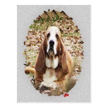 Beloved Basset Post Cards