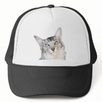 Beloved Feline Family Member Hat