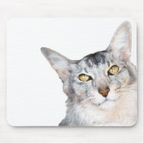 Beloved Feline Family Member Mousepads