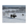 Belted Galloway Cow in a Snowy Landscape Postcard