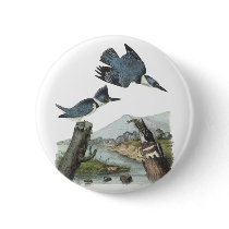 Belted Kingfisher, John Audubon Pinback Button