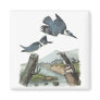 Belted Kingfisher, John Audubon Magnet