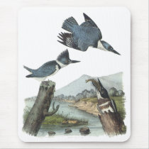 Belted Kingfisher, John Audubon Mouse Pad