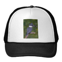 Belted Kingfisher Trucker Hats
