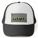 Beltie Cow Herd in Fall Trucker Hats