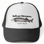Beluga Hat