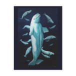 Beluga Postcards Vancouver Churchill Beluga Cards