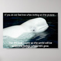 BELUGA POSTER