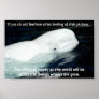 BELUGA POSTER