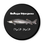 Beluga Sturgeon Magnets