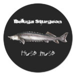 Beluga Sturgeon Stickers