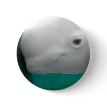 Beluga Watching Button