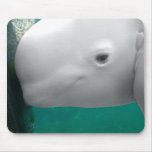 Beluga Watching Mousepad