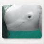 Beluga Watching Mousepad