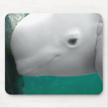 Beluga Watching Mousepad
