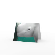 Beluga Watching Note Card