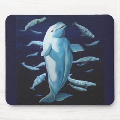 Beluga Whale Art Mousepad Whale Painting Decor by artist_kim_hunter