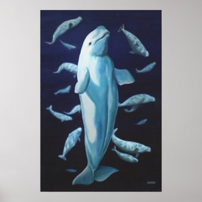 Beluga Whale Art Print Marinelife Whale Painting by artist_kim_hunter