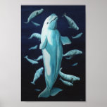 Beluga Whale Art Print Marinelife Whale Painting