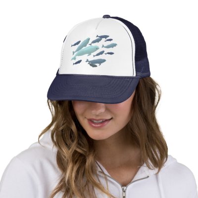 Beluga Whale Baseball Cap & Blue Beluga Hats Caps by artist_kim_hunter