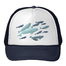 Beluga Whale Baseball Cap & Blue Beluga Hats Caps