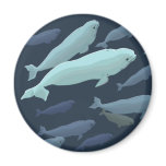 Beluga Whale Fridge Magnet Whale Art Gifts