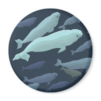 Beluga Whale Fridge Magnet Whale Art Gifts
