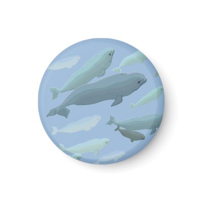 Beluga Whale Fridge Magnet Whale Art Gifts by artist_kim_hunter