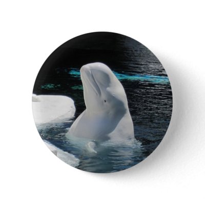 Beluga Whale Gifts Pin by HorseAndPony