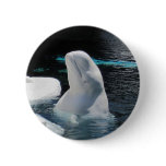 Beluga Whale Gifts buttons