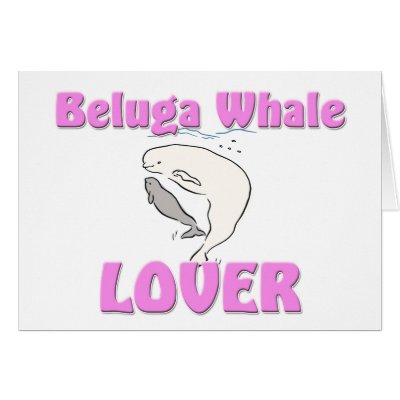 Beluga Whale Lover by AnimalShirts