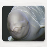 Beluga Whale Mousepad