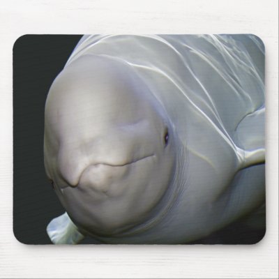 Beluga Whale Mousepad by Smythworks