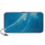Beluga Whale Speakers