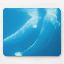 Beluga Whales Mouse Pad
