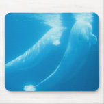 Beluga Whales Mouse Pad