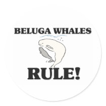 BELUGA WHALES Rule!