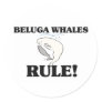 BELUGA WHALES Rule!