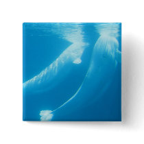 Beluga Whales Square Pin