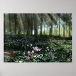 Ben Shemen Forest in Israel, Holy Land Poster