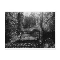 Bench at Sunset Postcards
