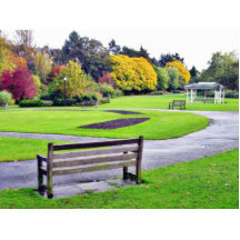 Bench In Valley Gardens Park In Autumn Photo Cutout