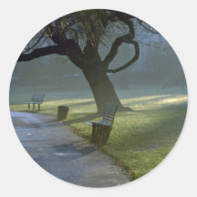 Bench, tree, Regents Park, London, England Sticker